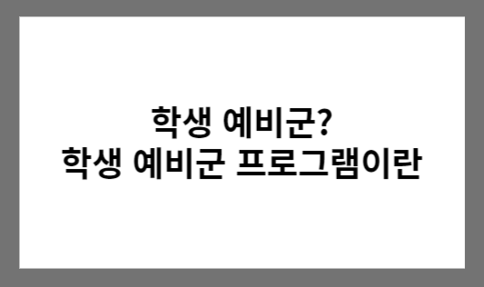 학생 예비군 프로그램