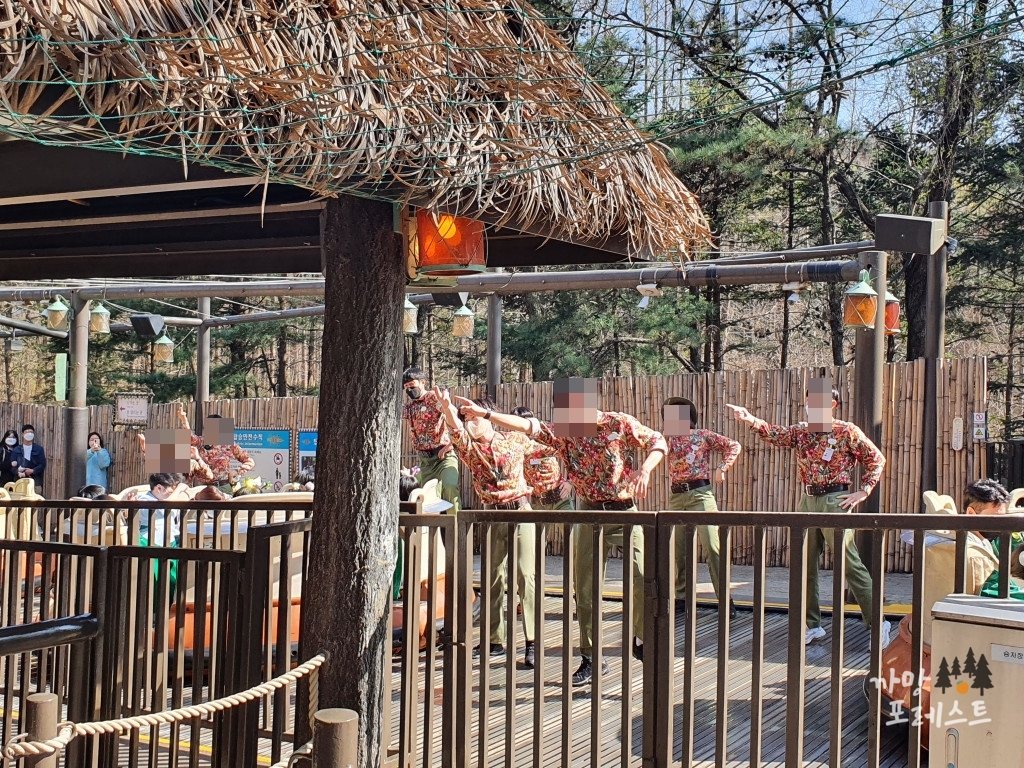 에버랜드 아마존 춤