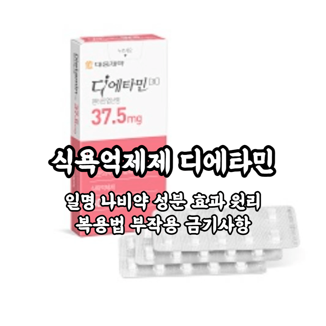 식욕억제제 디에타민 일명 나비약 효과 복용법 처방 부작용 총정리