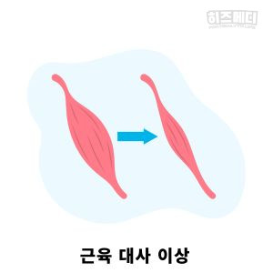 크레아티닌 수치가 높으면