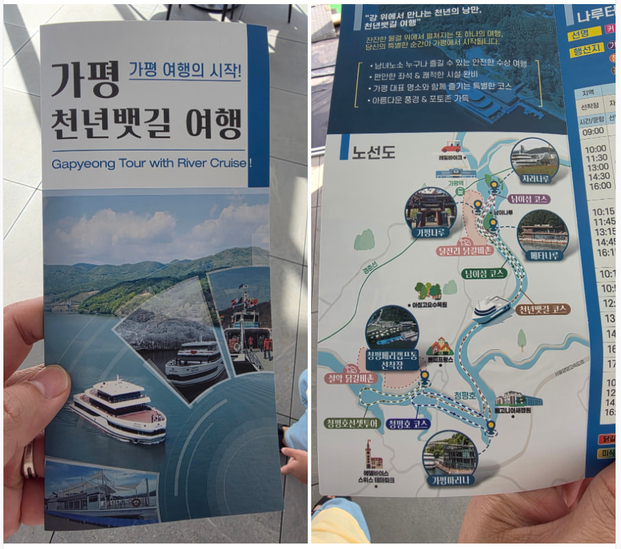 자라섬 (2025 꽃 페스타)