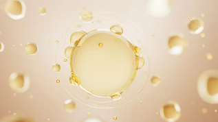 콜라겐 영양제/출처:어도비스톡