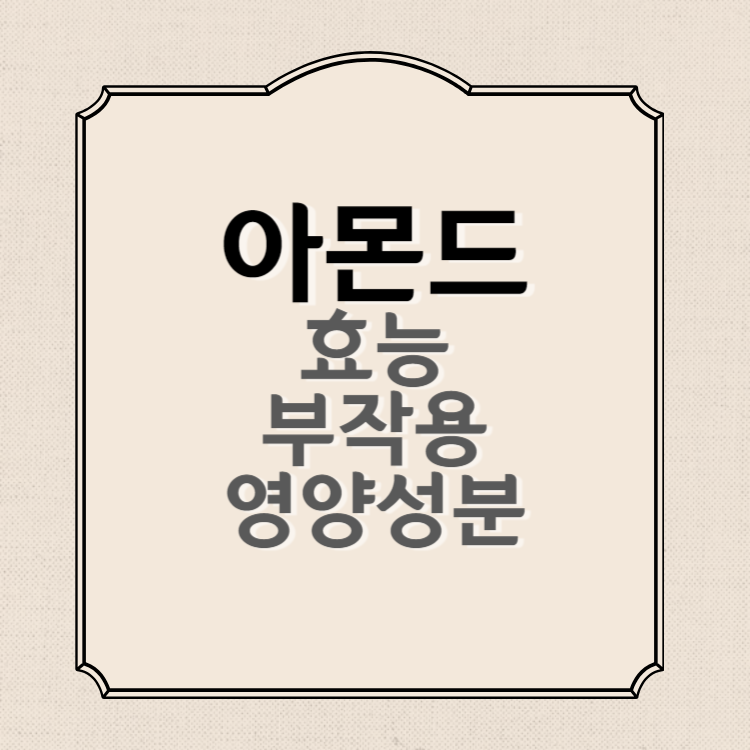 아몬드 효능과 부작용&#44; 영양성분