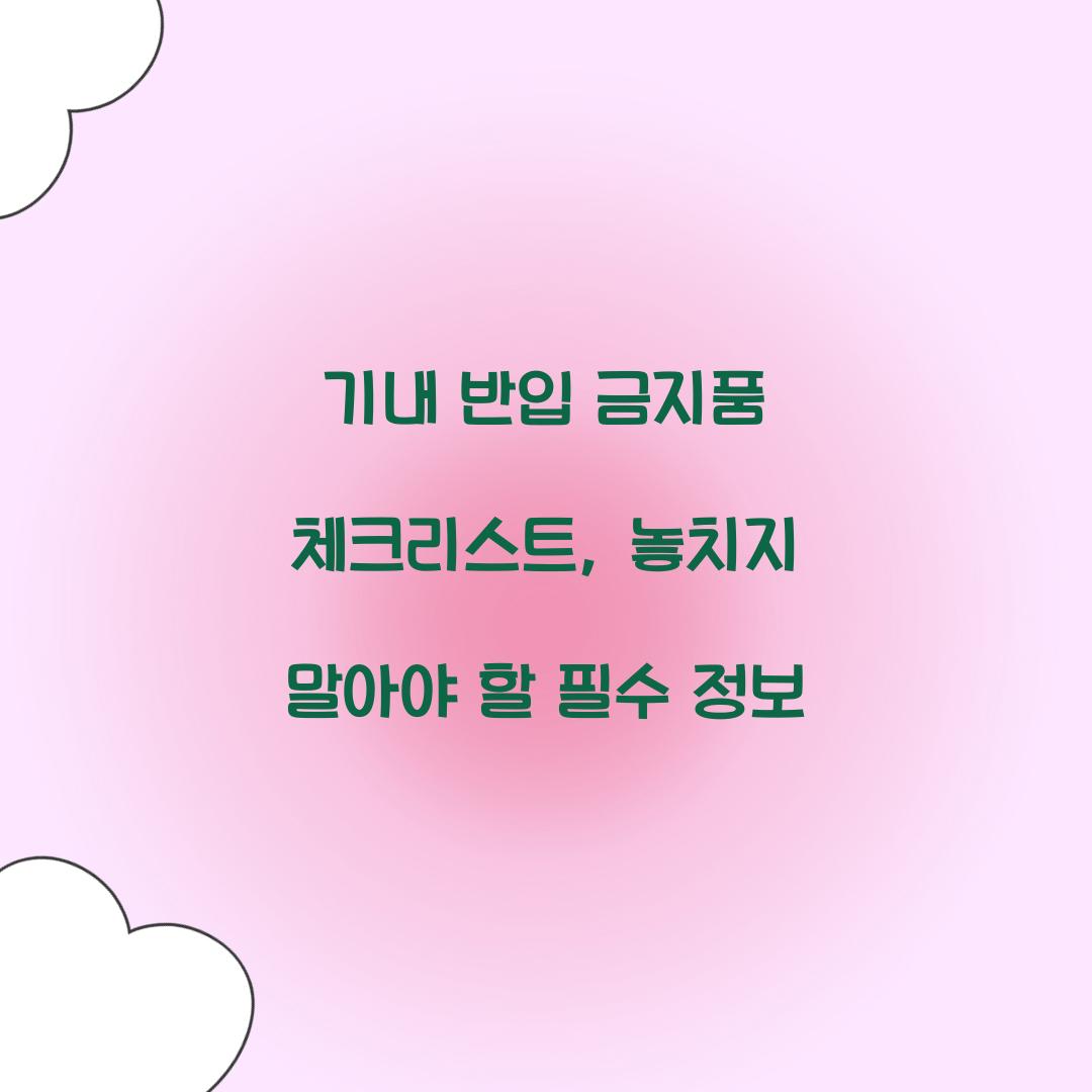 기내 반입 금지품