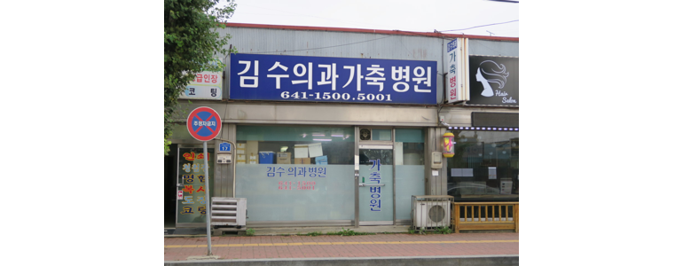 보령시 동물병원