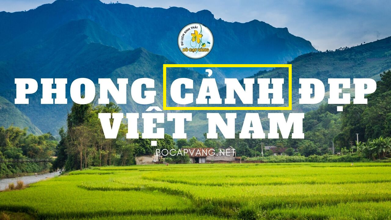 베트남의 아름다운 풍경 배너