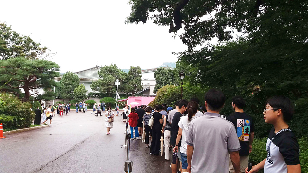 청와대 관람신청