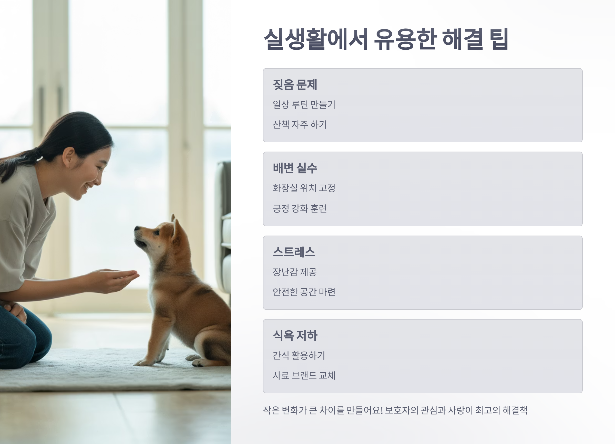 참조-반려동물-고민-5