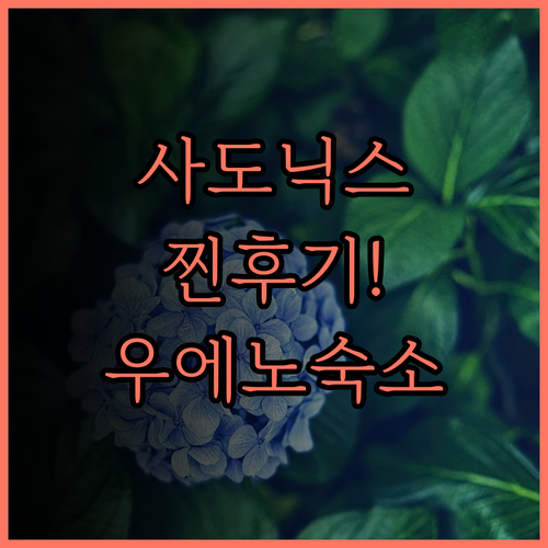 호텔 사도닉스 우에노 찐 후기! 우에