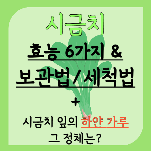 시금치-효능-보관법-세척법-잎의-하얀가루는?