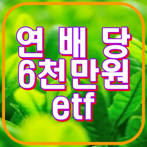 연배당 6천만원 etf
