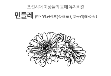 카미 가벼운 민들레처럼 효능, 내돈내산 다이어트 후기 (100% 환불 보장)