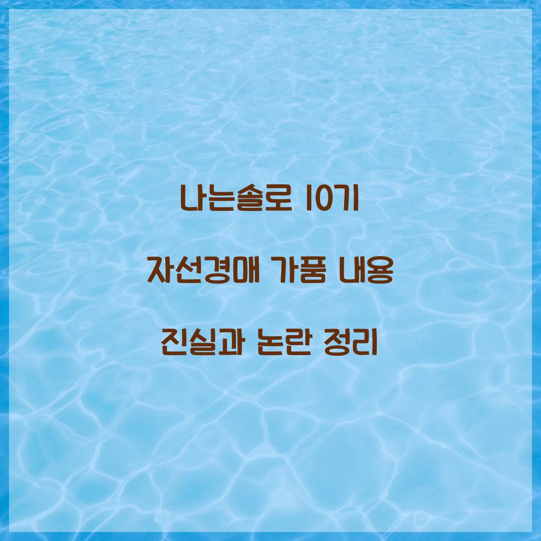 나는솔로 10기 자선경매 가품 내용