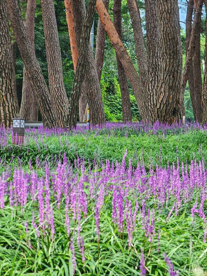 상주 가볼만한곳 베스트10