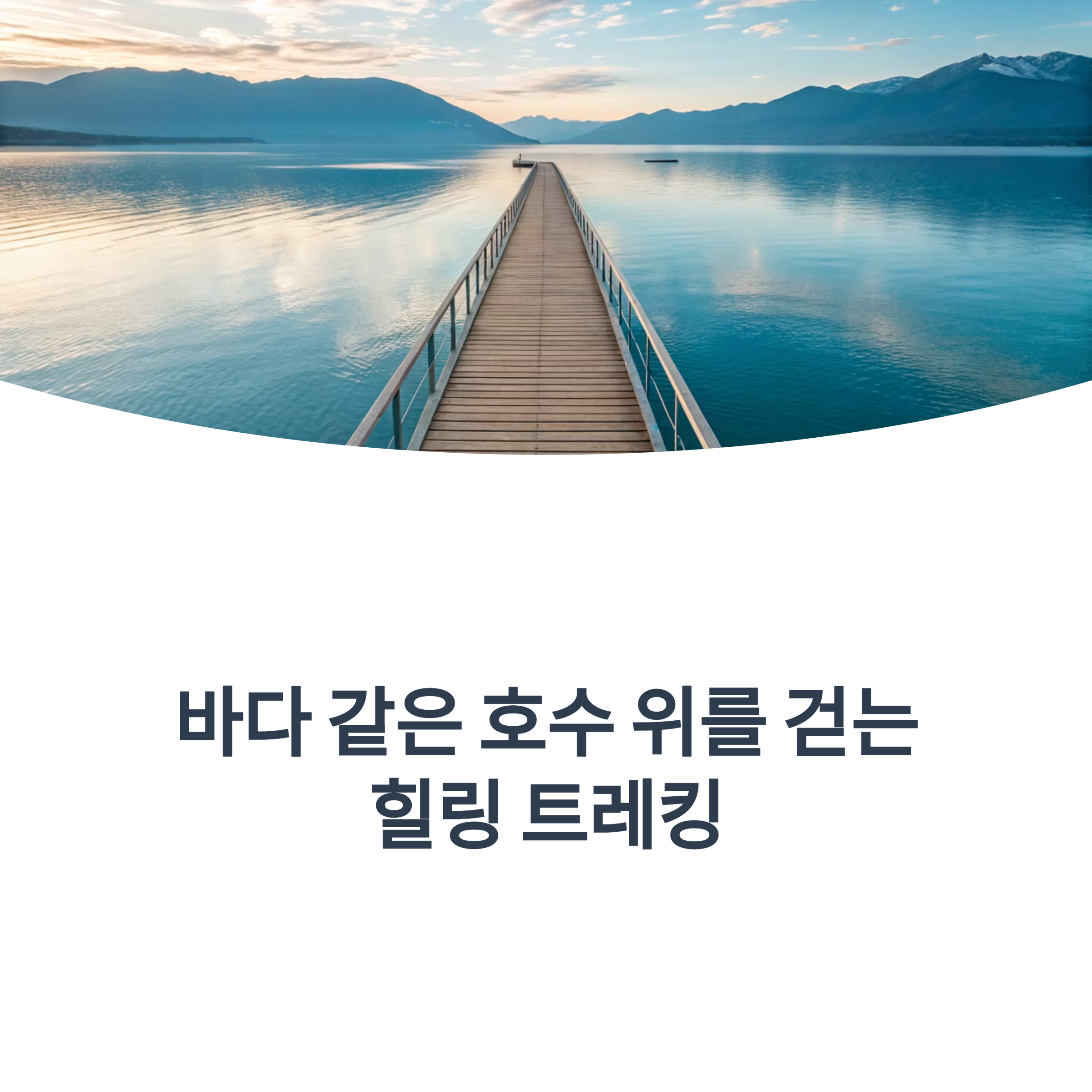 예당호 출렁다리부터 느린호수길까지!