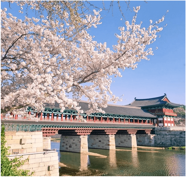 국내 여행지 추천