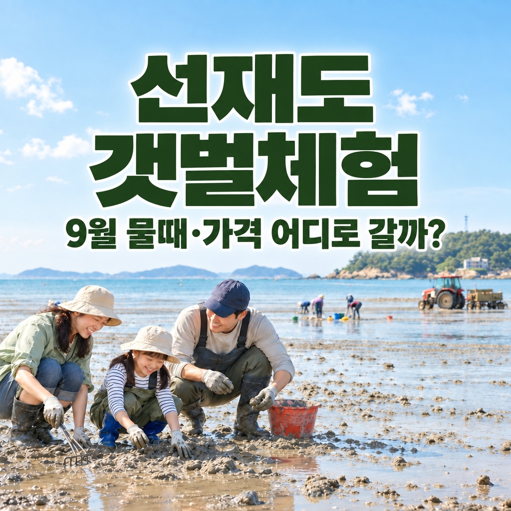 선재도 갯벌체험 9월 물때와 가격, 목섬·사메기 어디로 갈까