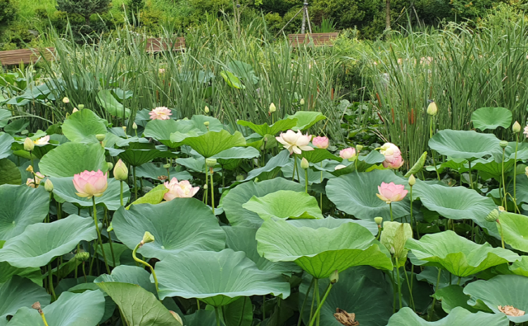 바다향기 수목원