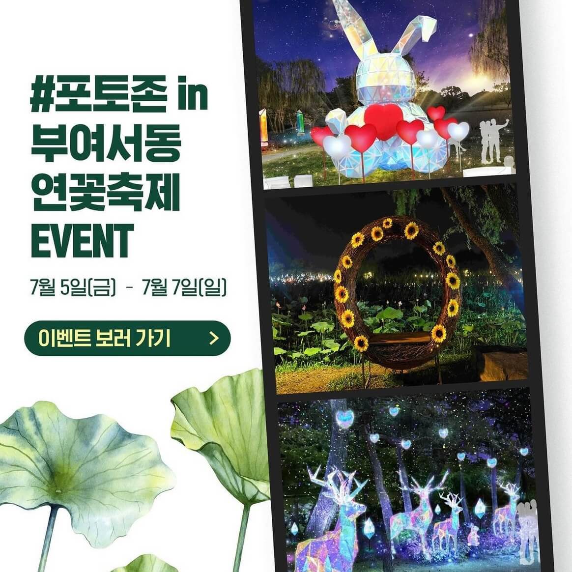 부여 궁남지 연꽃축제