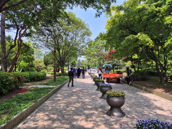 햇살 좋은 날 강원도립화목원의 잘 가꾸어진 산책로를 걷는 방문객들