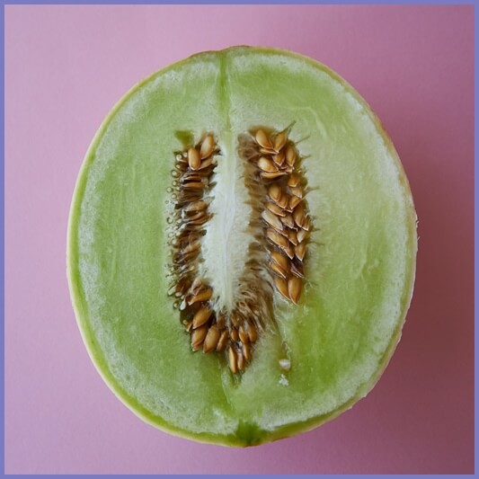 멜론