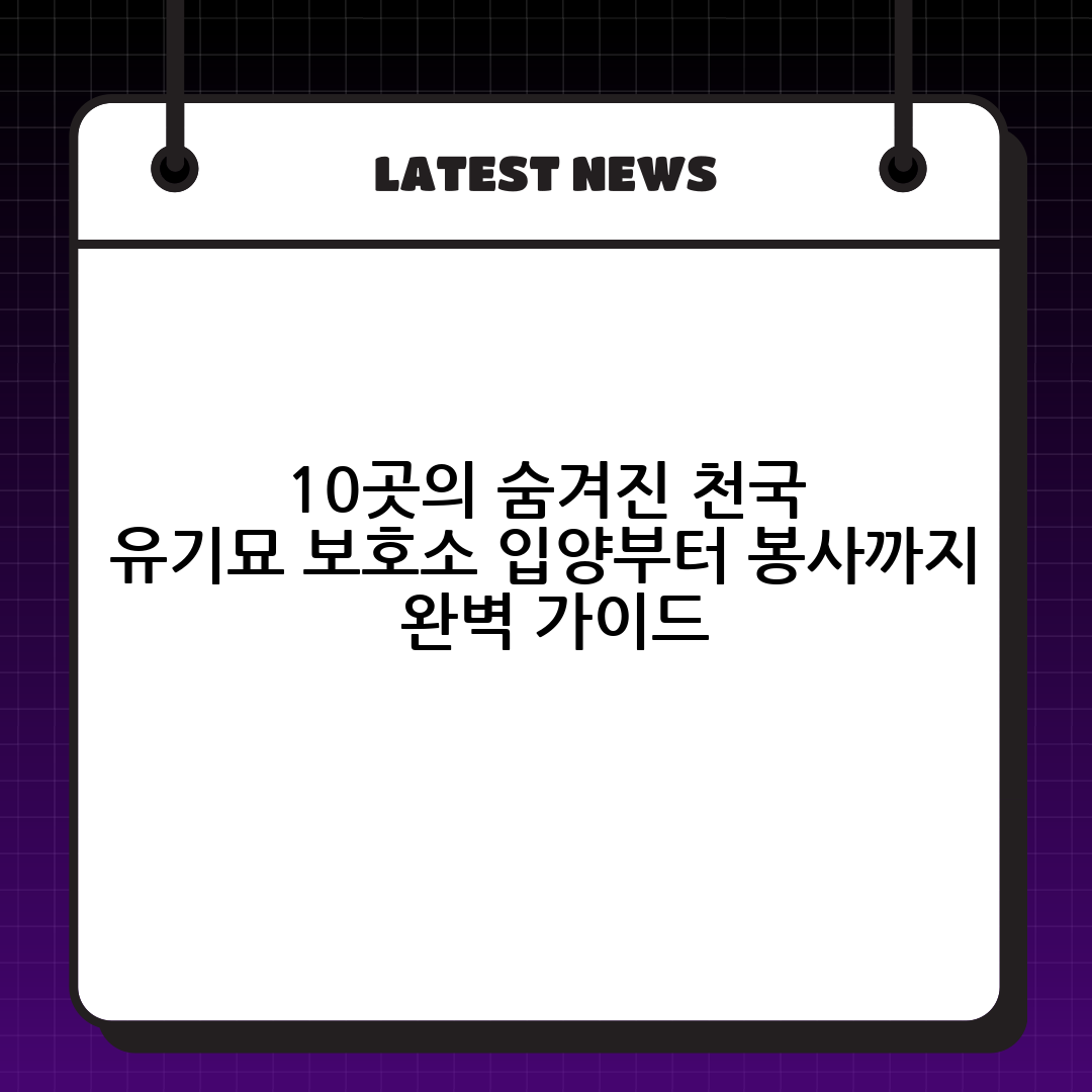 썸네일