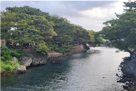 제주 월 대천 축제 