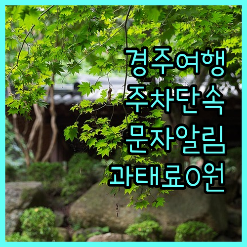 경주 여행 필수 주정차 단속 알림 문..