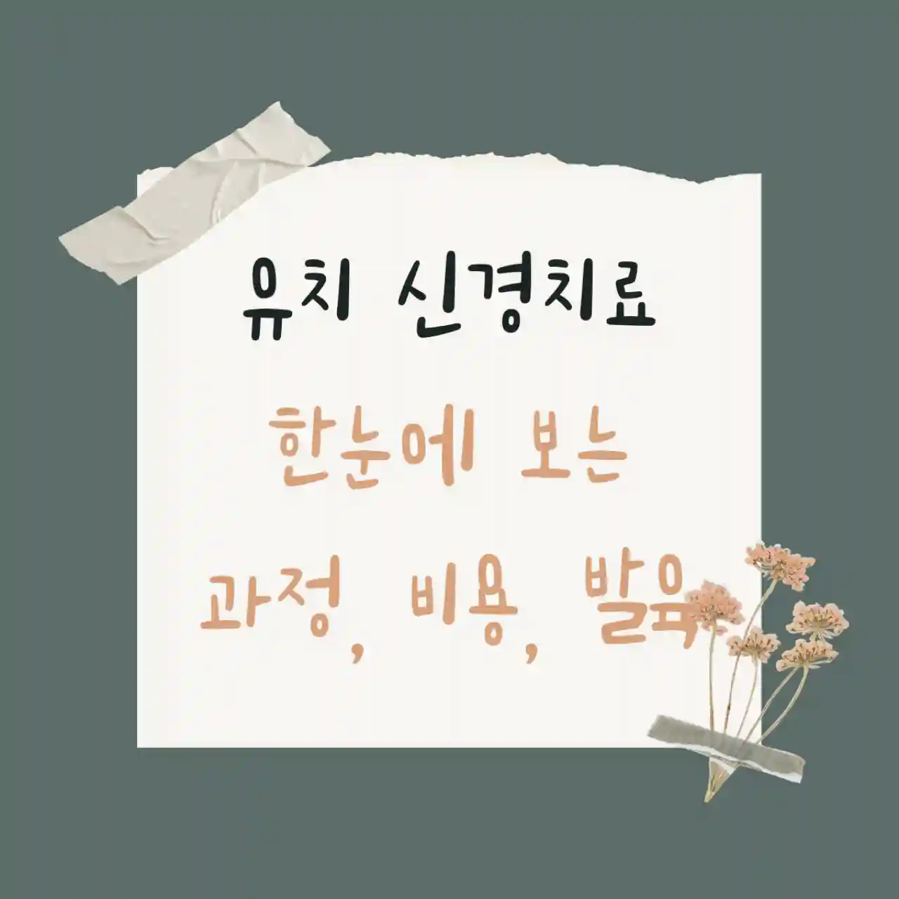 유치 신경치료 한눈에 보는 과정, 발육, 비용에 관한 썸네일