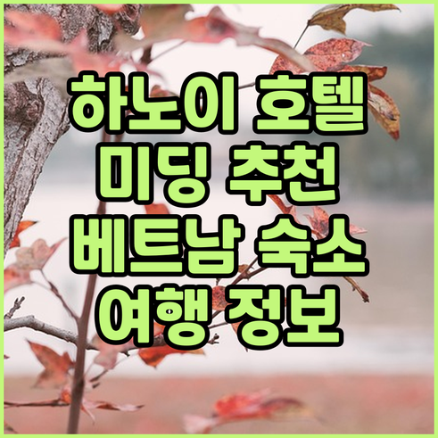 하노이 미딩 지역 호텔 추천