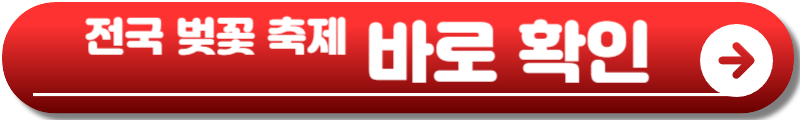 2025 벚꽃 개화시기