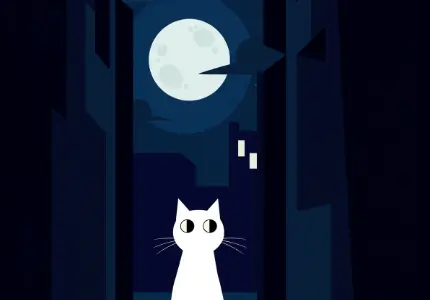 연예인이 나오는 꿈해몽