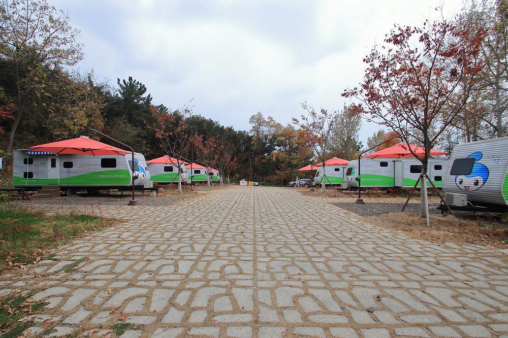 대구 달서별빛캠프 캠핑장 소개