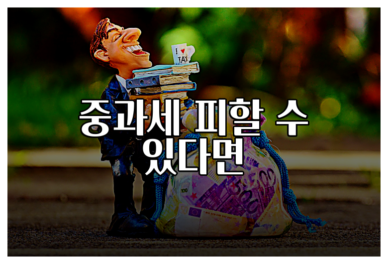 중과세 피할 수 있다면