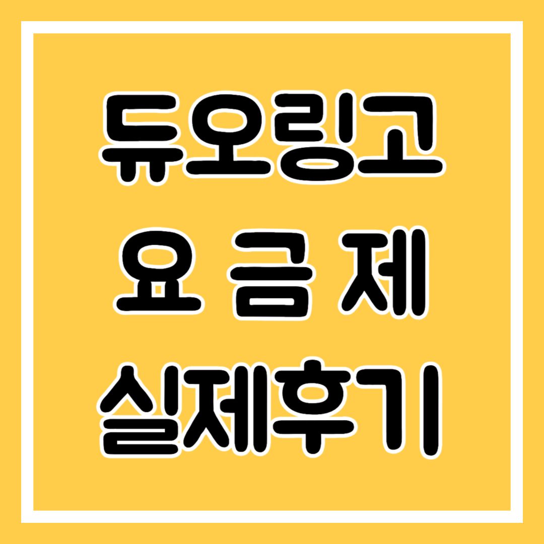 듀오링고 요금제, 실제후기