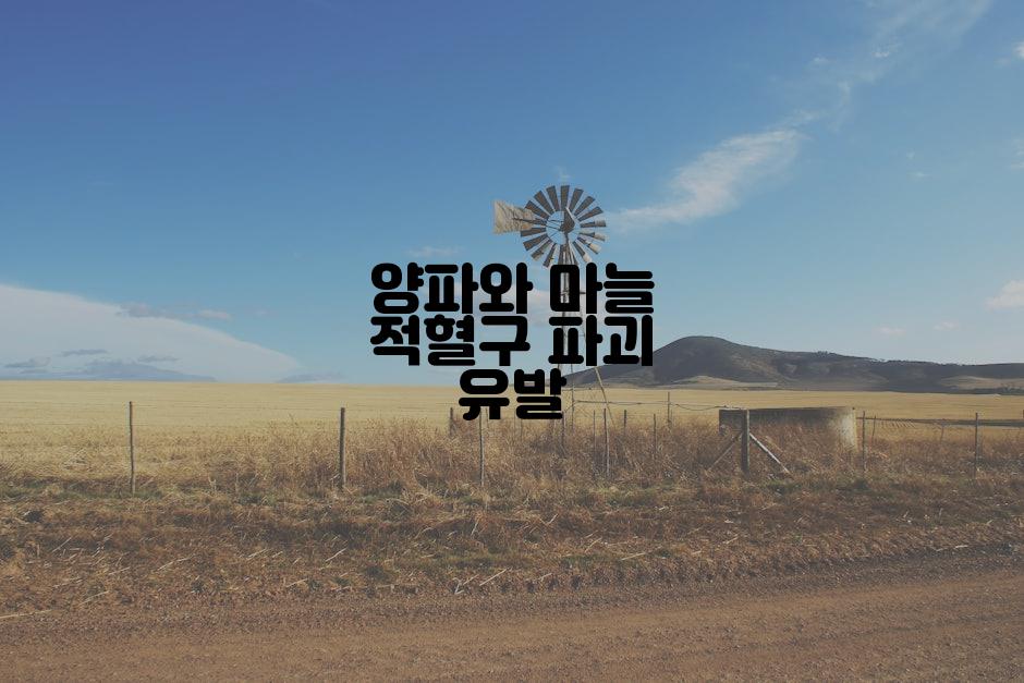 양파와 마늘 적혈구 파괴 유발