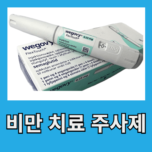 위고비 비만 치료 주사제
