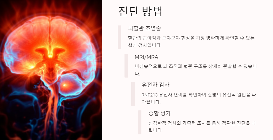 모야모야병이란? 원인, 증상, 치료 및 관리(수술 및 좋은음식)