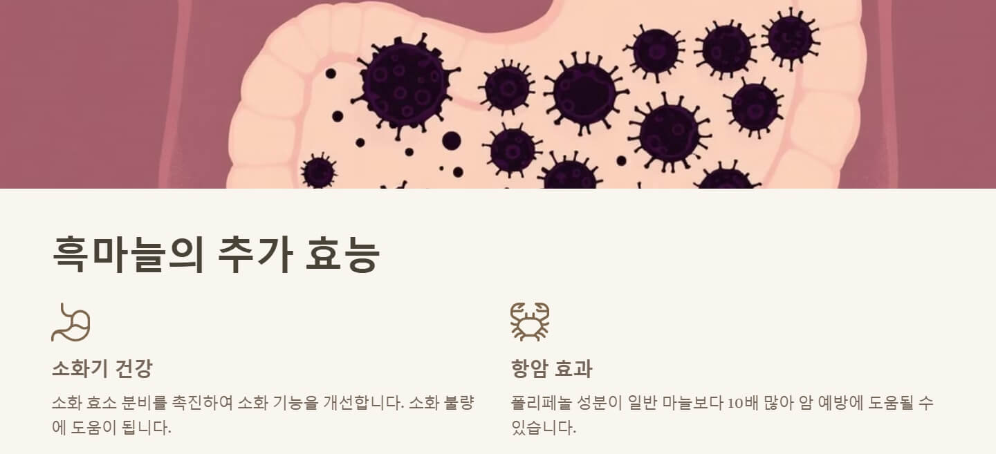 흑마늘 효능과 부작용