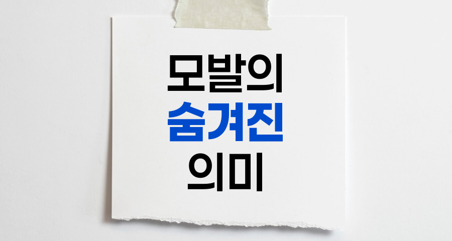 모발의 숨겨진 의미, 생리적 기능부터 사회문화적 상징까지