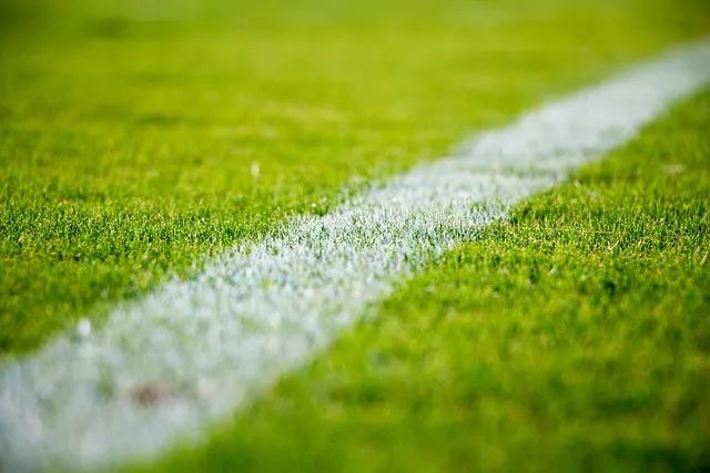 축구 순위 대한민국 월드컵 프로축구 아시안컵_3