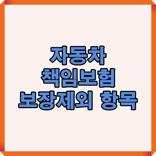 자동차 책임보험 보장제외 항목에 대해 꼭 알아야 할 필수정보를 한눈에 정리한 인포그래픽 썸네일 이미지