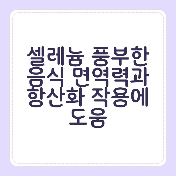 셀레늄 풍부한 음식 면역력과 항산화 작용에 도움
