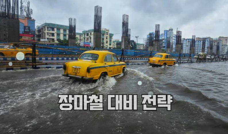 피해 최소화를 위한 완벽한 장마철 대비 팁