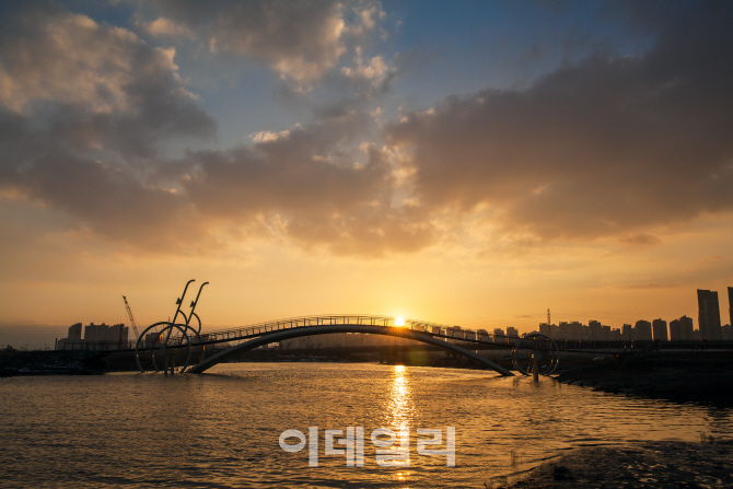 미생의 다리 일출