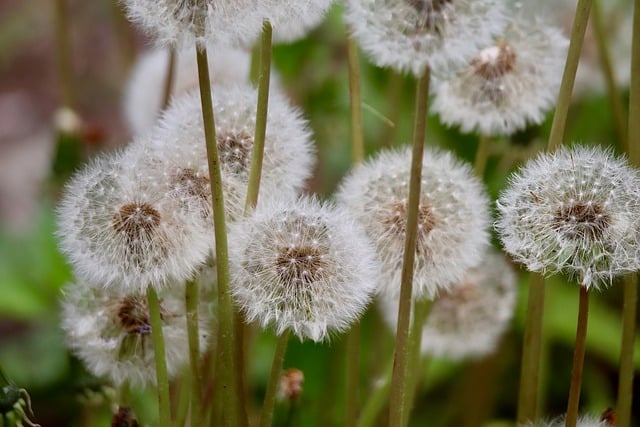 삼성 에어컨 곰팡이 냄새 제거