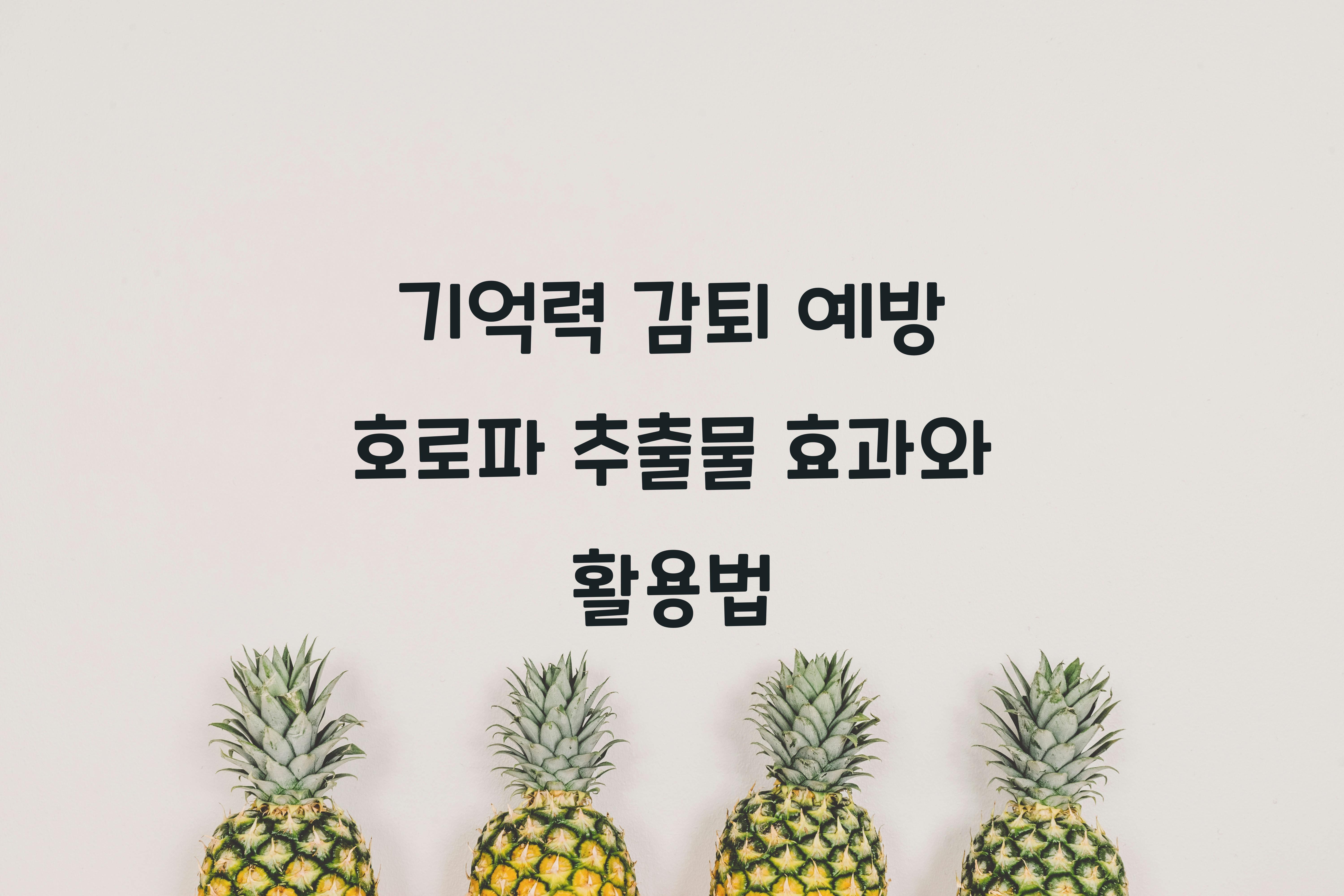 기억력 감퇴 예방 호로파 추출물
