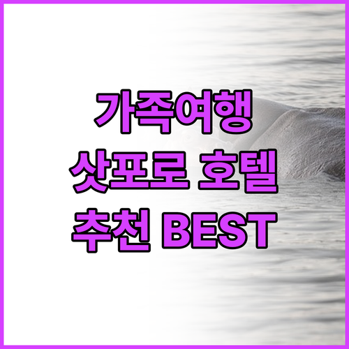 가족여행객 필독! 삿포로 추천 호텔 ..