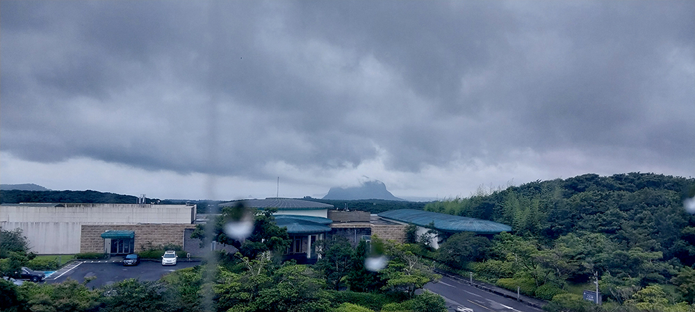 너를 향한 나의 시선