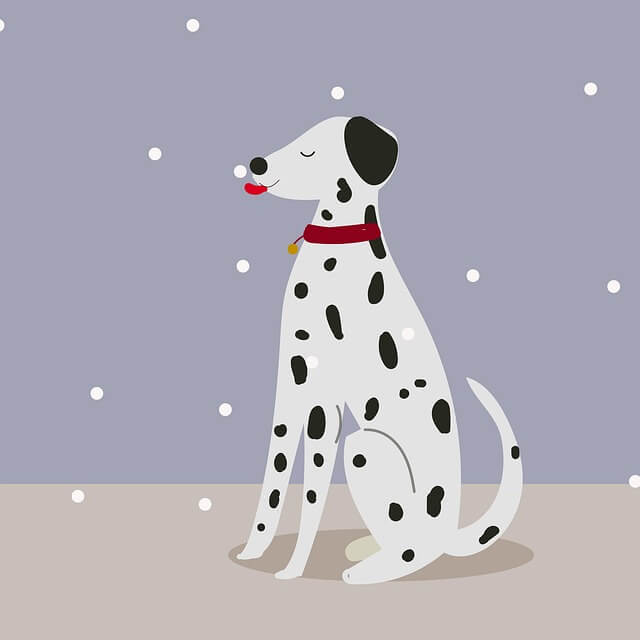 여름 보양식 추천